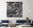 First Frost II by Jean-François Dupuis on GIANT ART - white black & white reflection