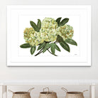 Fresh Bouquet - Lavender-1 by Lori Dubois on GIANT ART - beige floral lilas