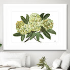 Fresh Bouquet - Lavender-1 by Lori Dubois on GIANT ART - beige floral lilas