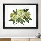 Fresh Bouquet - Lavender-1 by Lori Dubois on GIANT ART - beige floral lilas