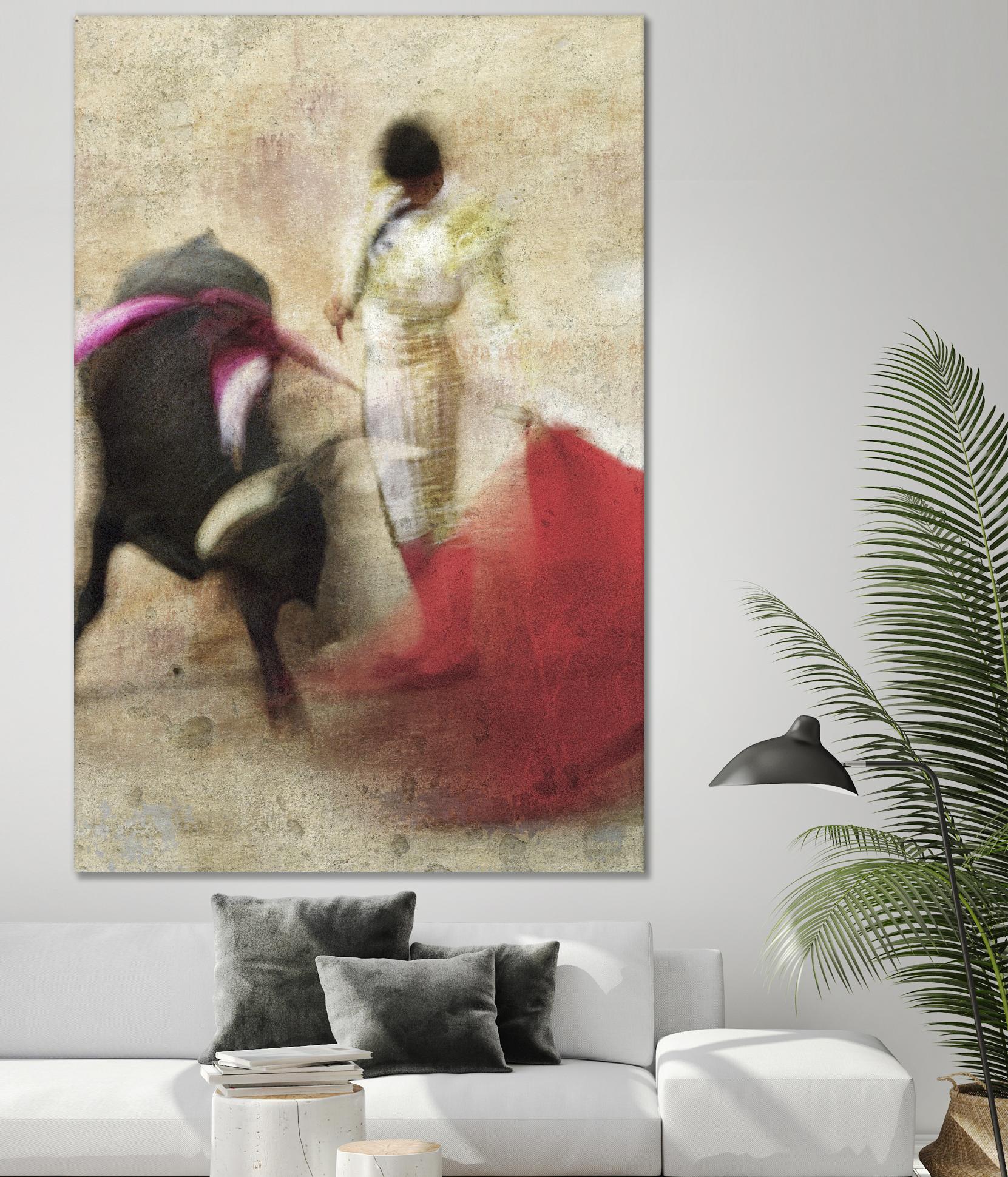 San Miguel, Bullfight #2 by Doug Landreth on GIANT ART - red everyday life
