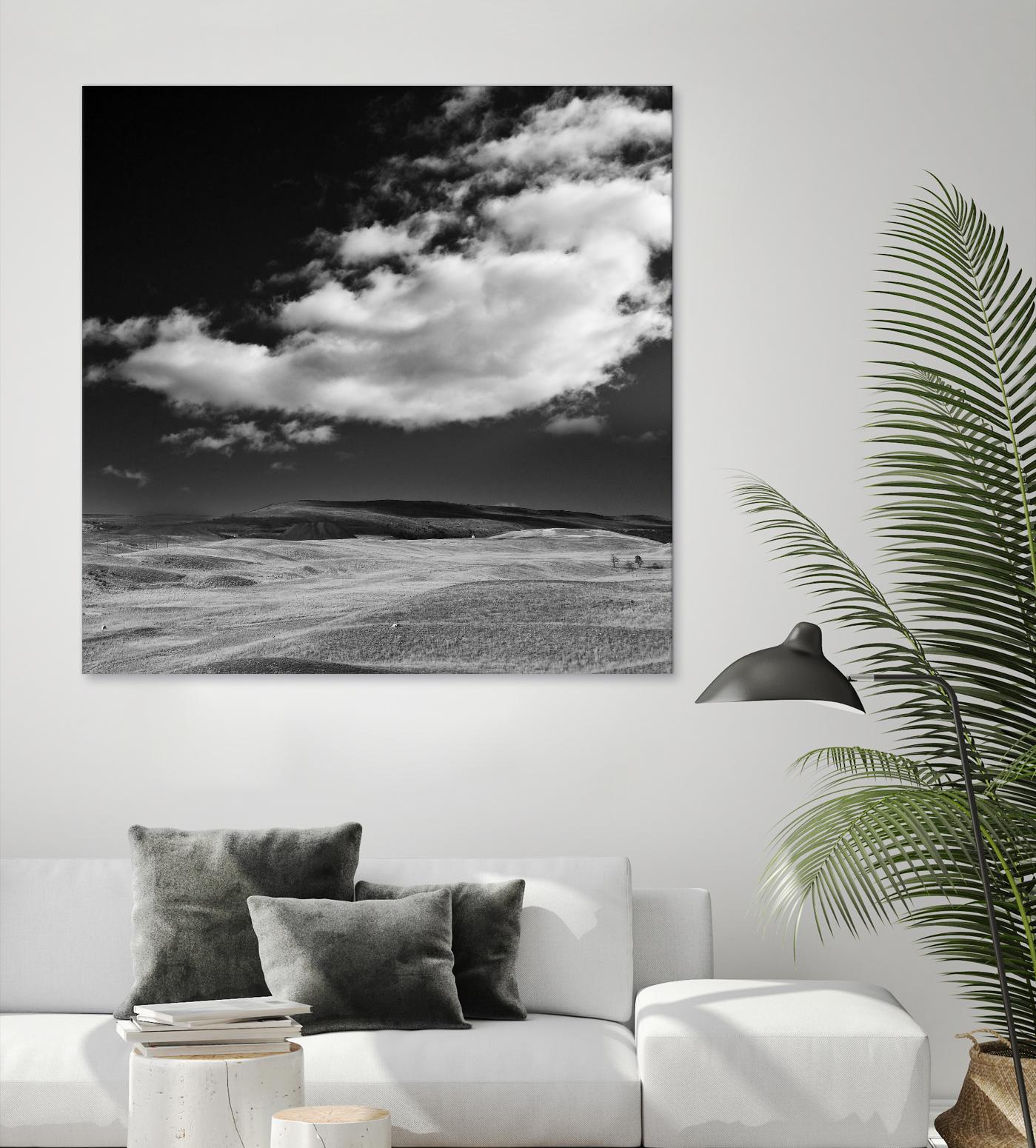 Field with Clouds by Jamie Cook on GIANT ART - white landscape