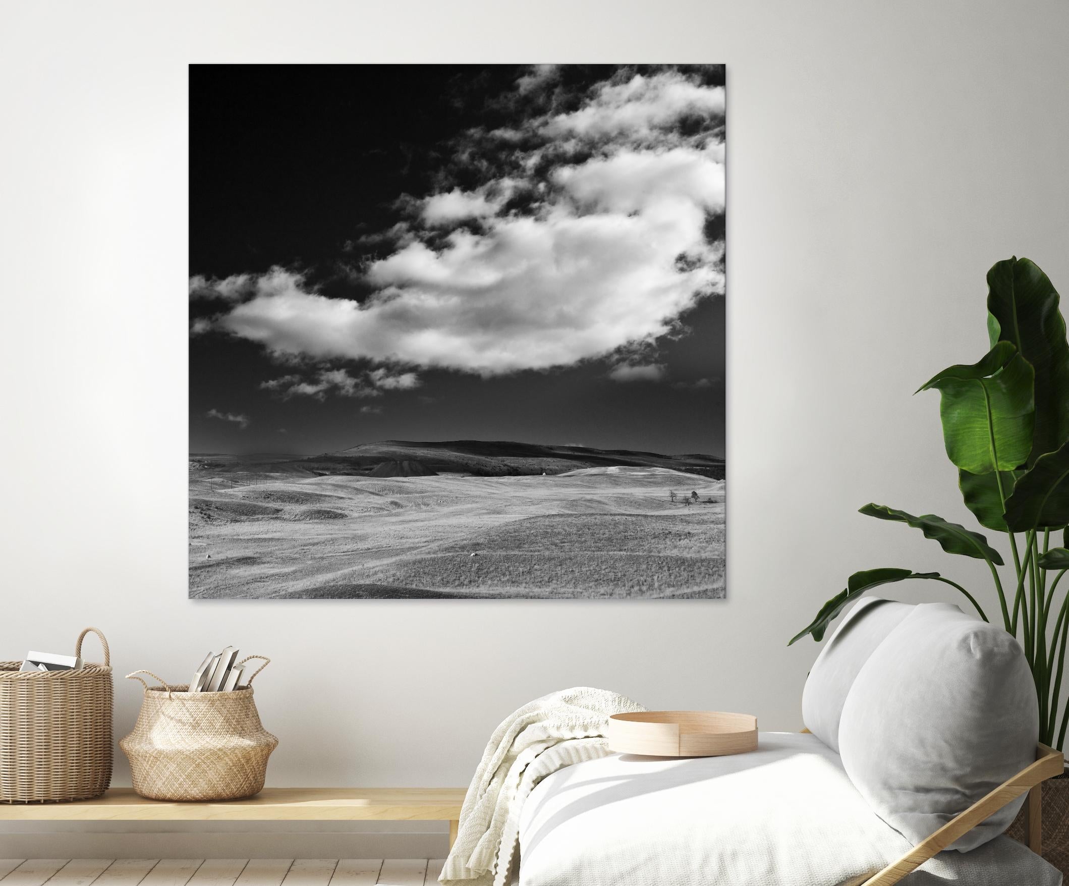 Field with Clouds by Jamie Cook on GIANT ART - white landscape