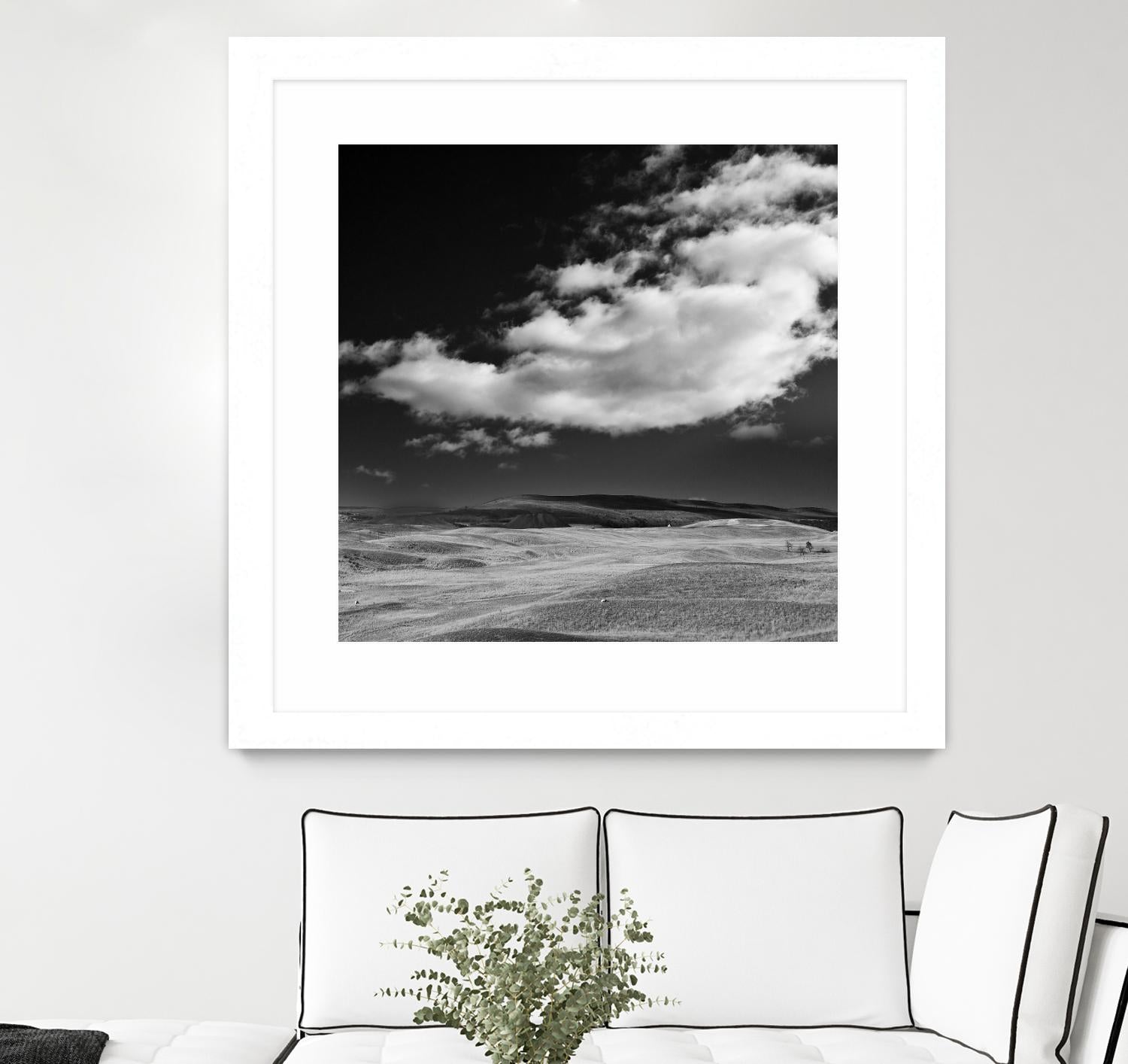Field with Clouds by Jamie Cook on GIANT ART - white landscape