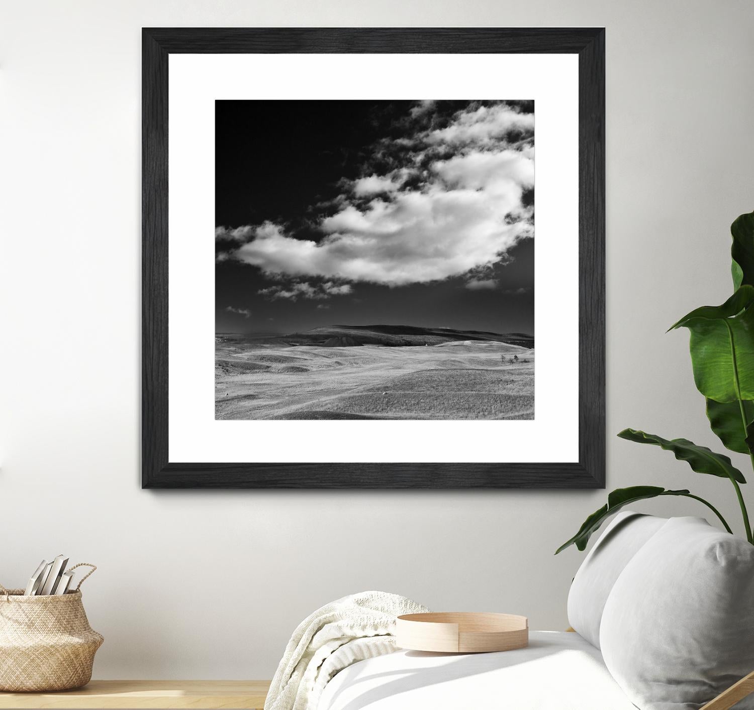 Field with Clouds by Jamie Cook on GIANT ART - white landscape