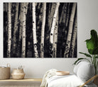 Birch Trees by Jamie Cook on GIANT ART - black landscape