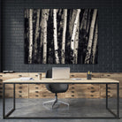 Birch Trees by Jamie Cook on GIANT ART - black landscape