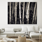 Birch Trees by Jamie Cook on GIANT ART - black landscape