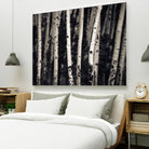 Birch Trees by Jamie Cook on GIANT ART - black landscape