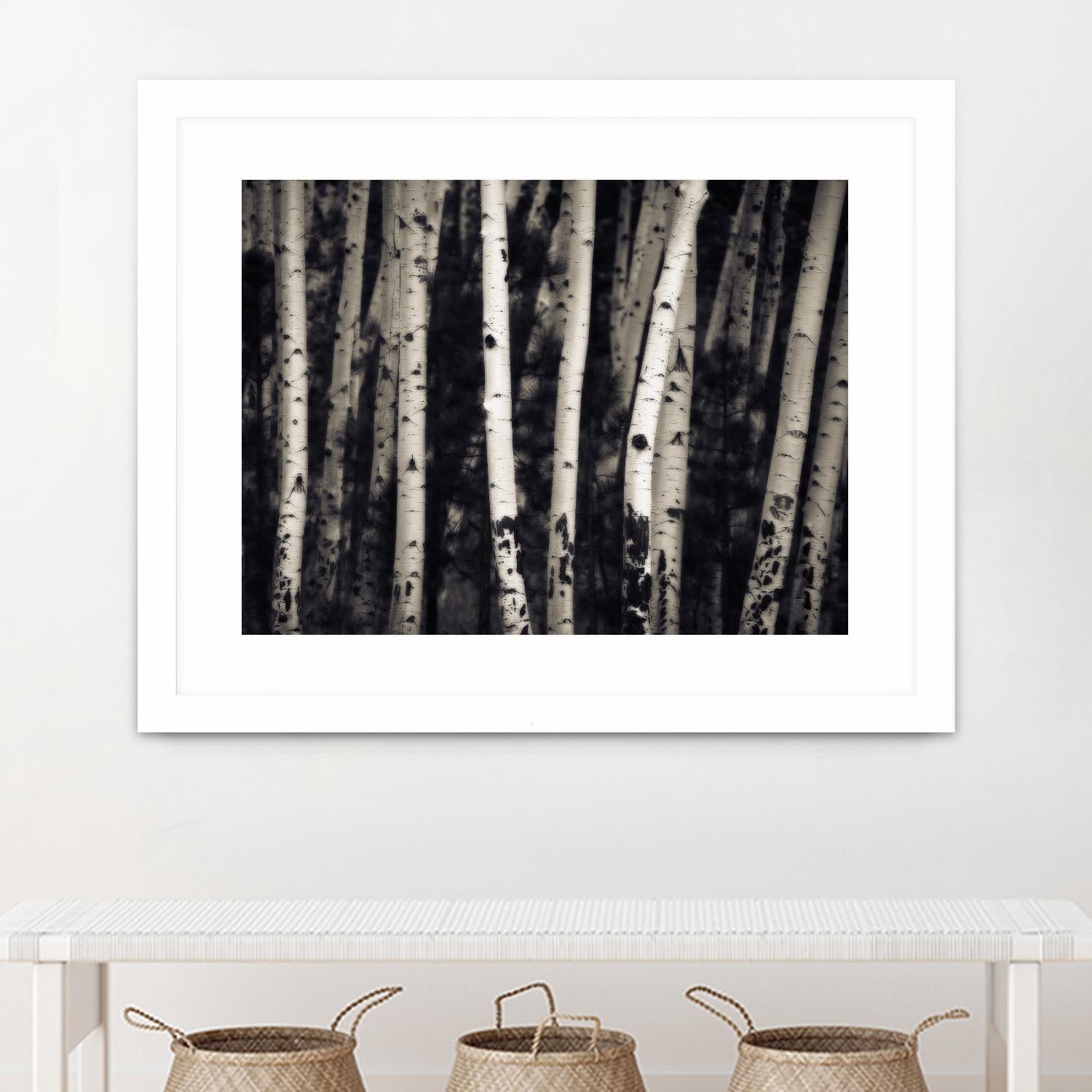 Birch Trees by Jamie Cook on GIANT ART - black landscape
