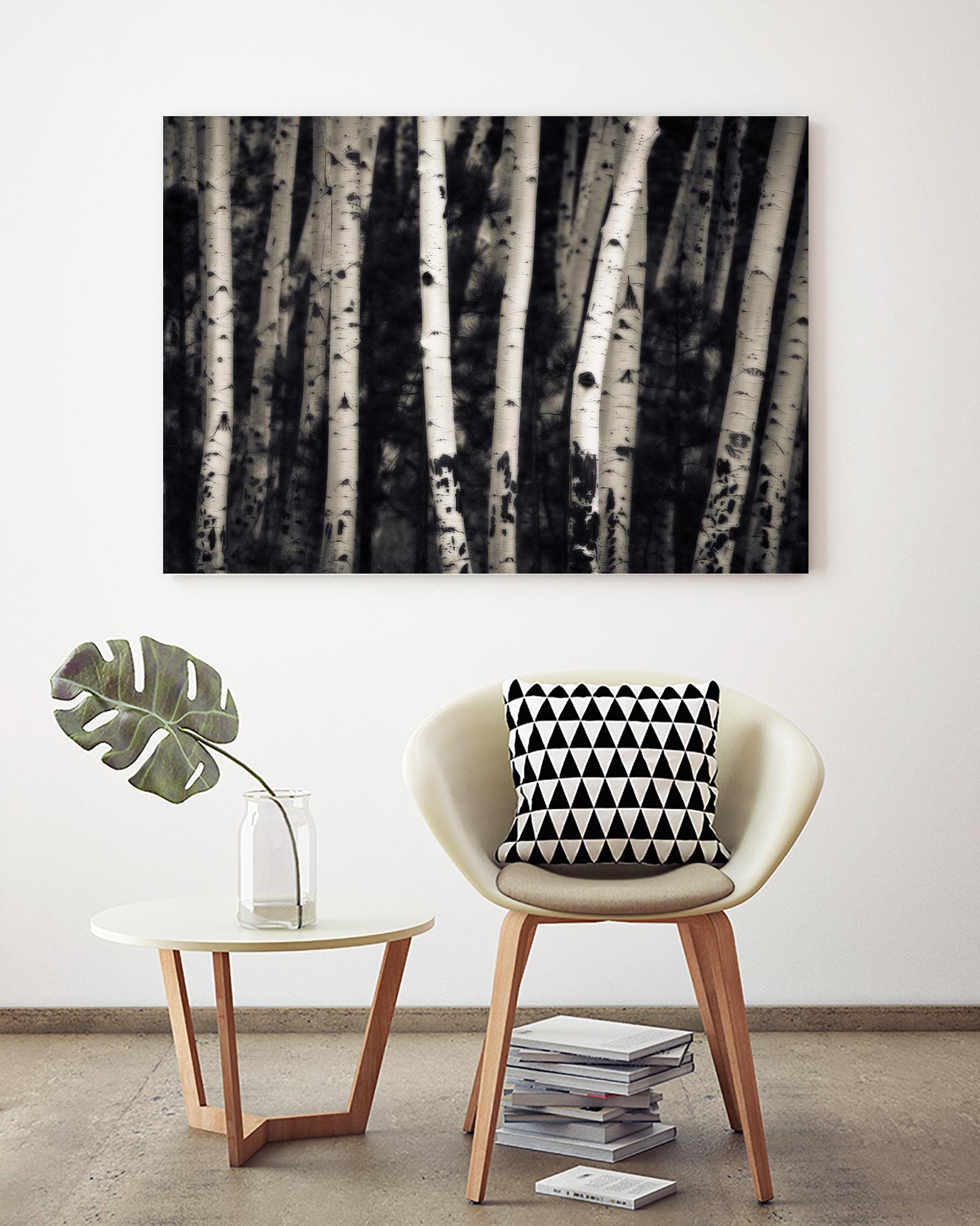 Birch Trees by Jamie Cook on GIANT ART - black landscape