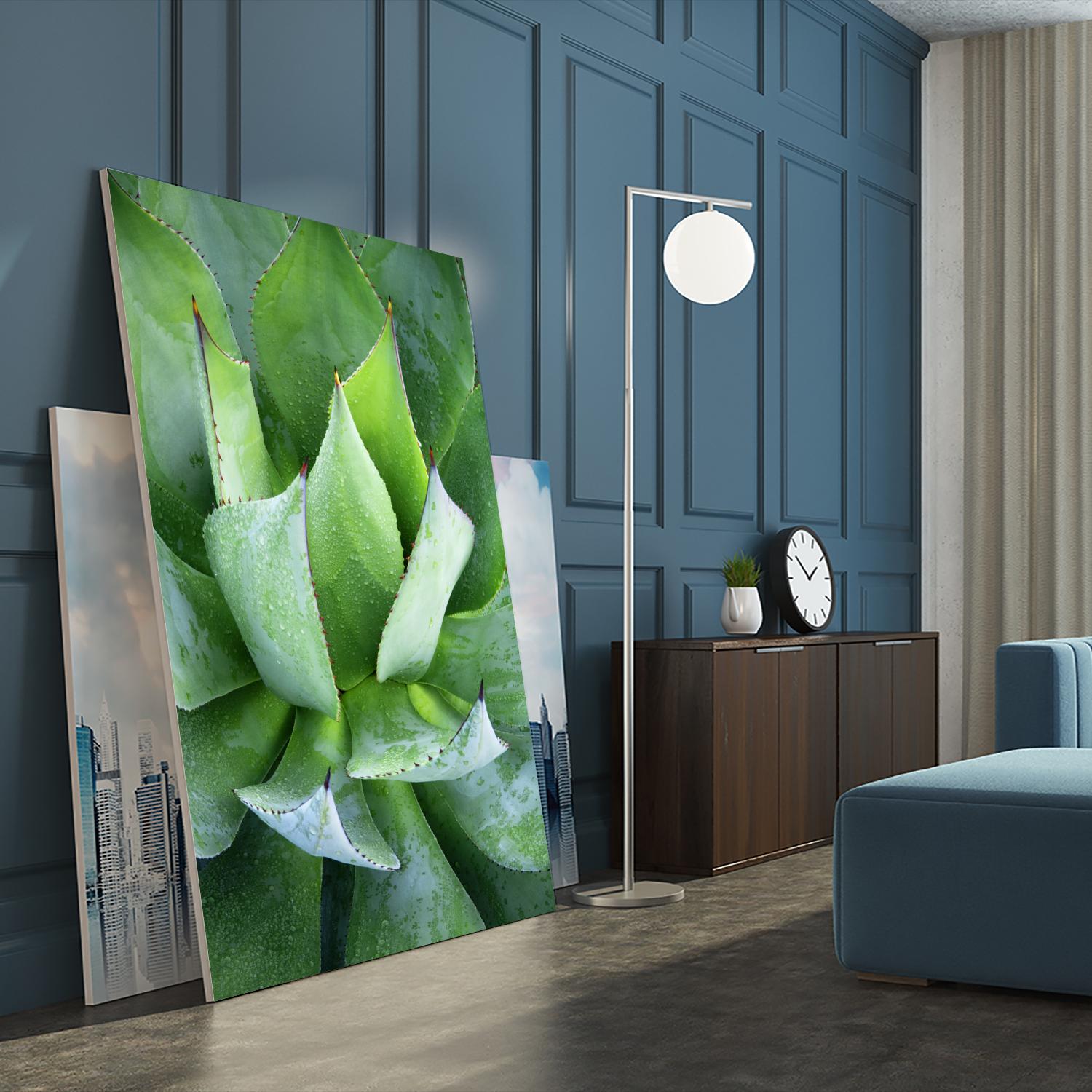 Yucca Study 1 by Acer Images on GIANT ART - green botany