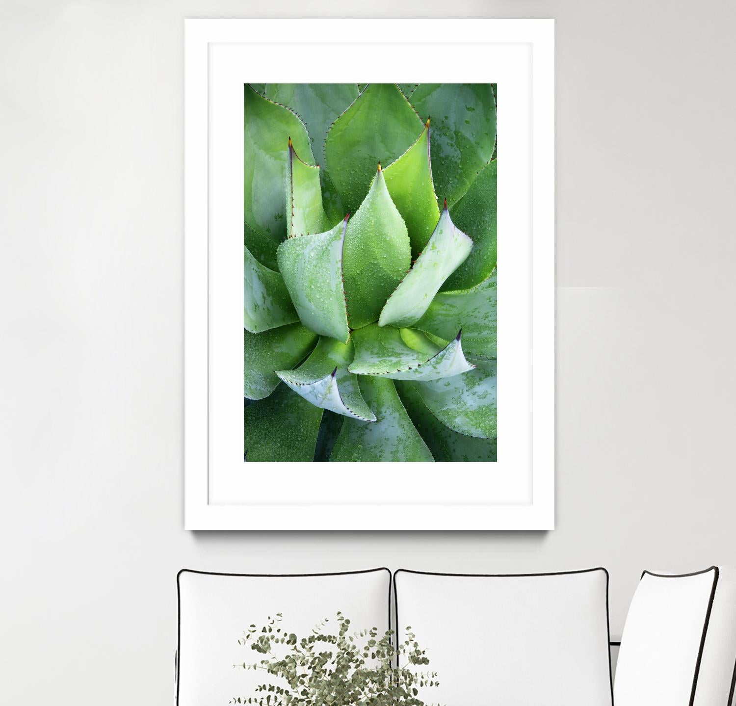 Yucca Study 1 by Acer Images on GIANT ART - green botany
