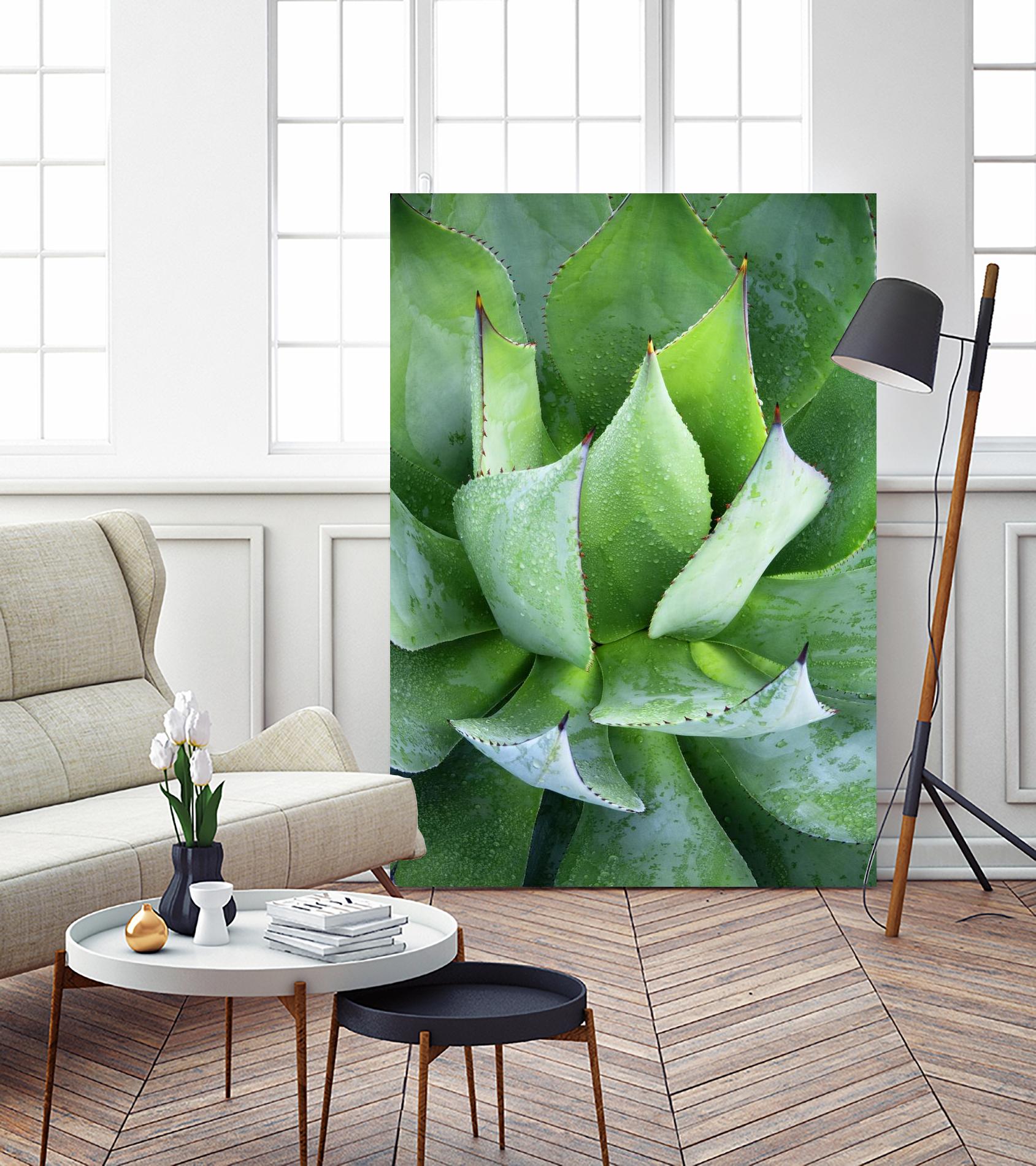 Yucca Study 1 by Acer Images on GIANT ART - green botany