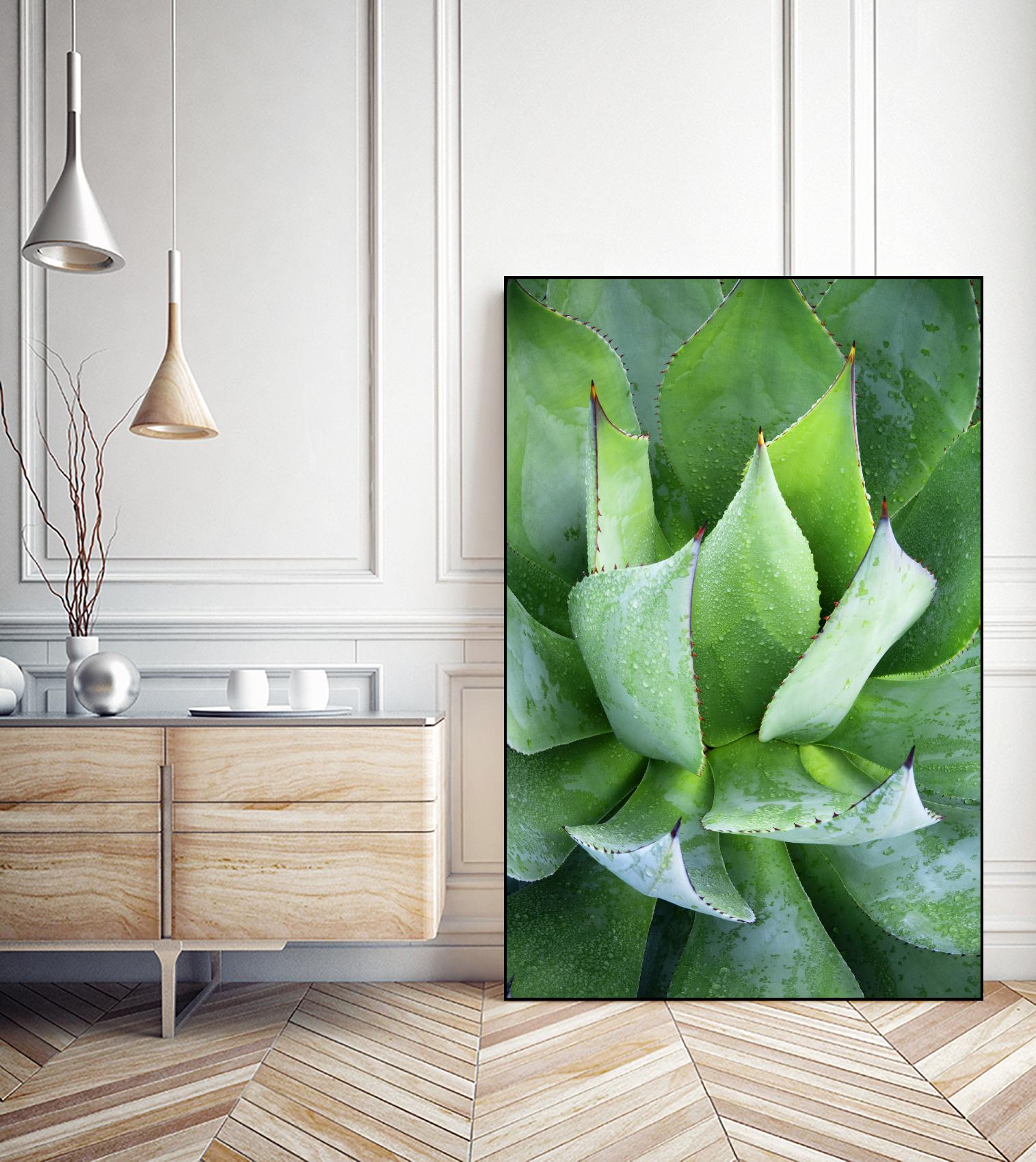 Yucca Study 1 by Acer Images on GIANT ART - green botany