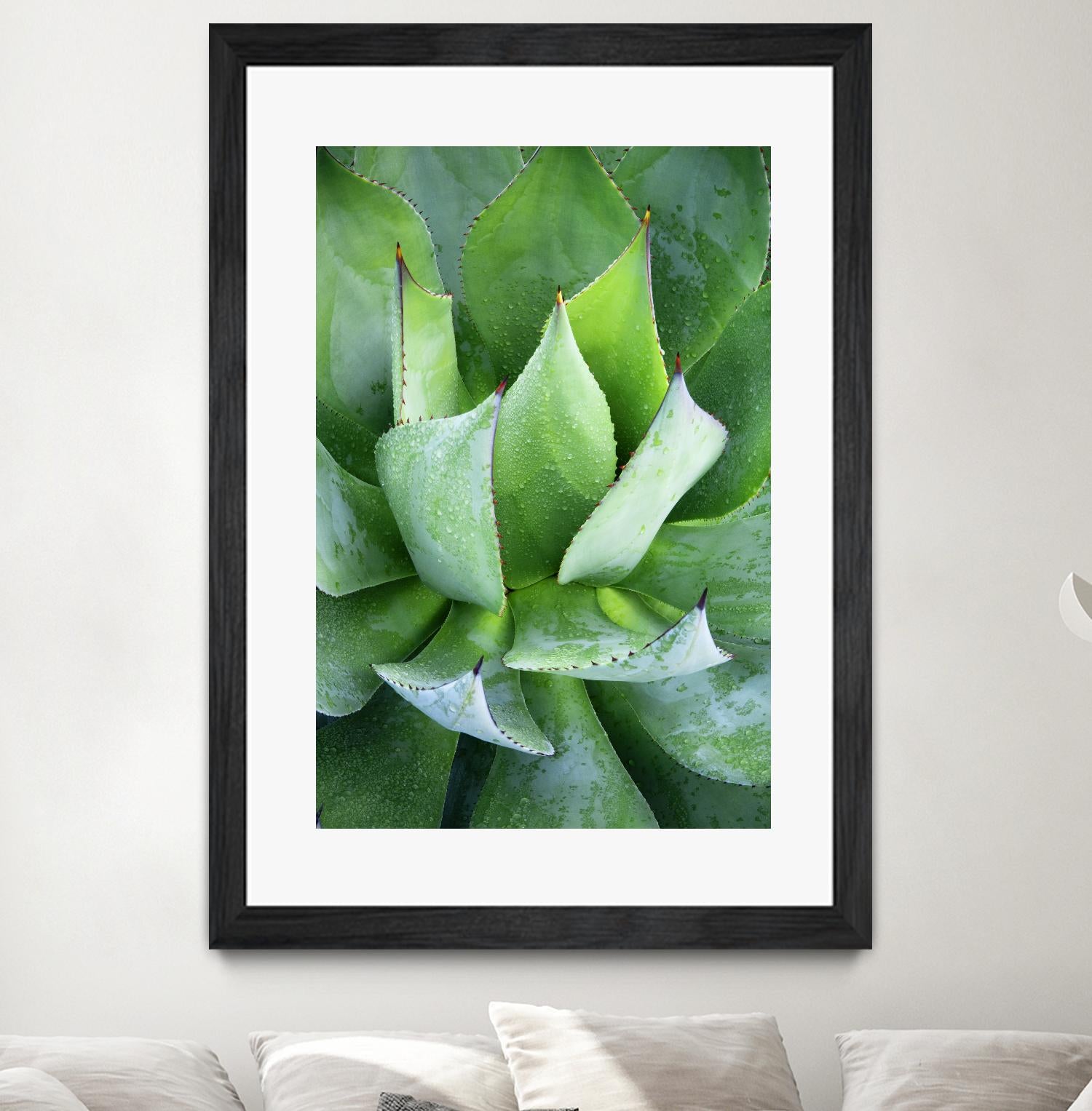 Yucca Study 1 by Acer Images on GIANT ART - green botany