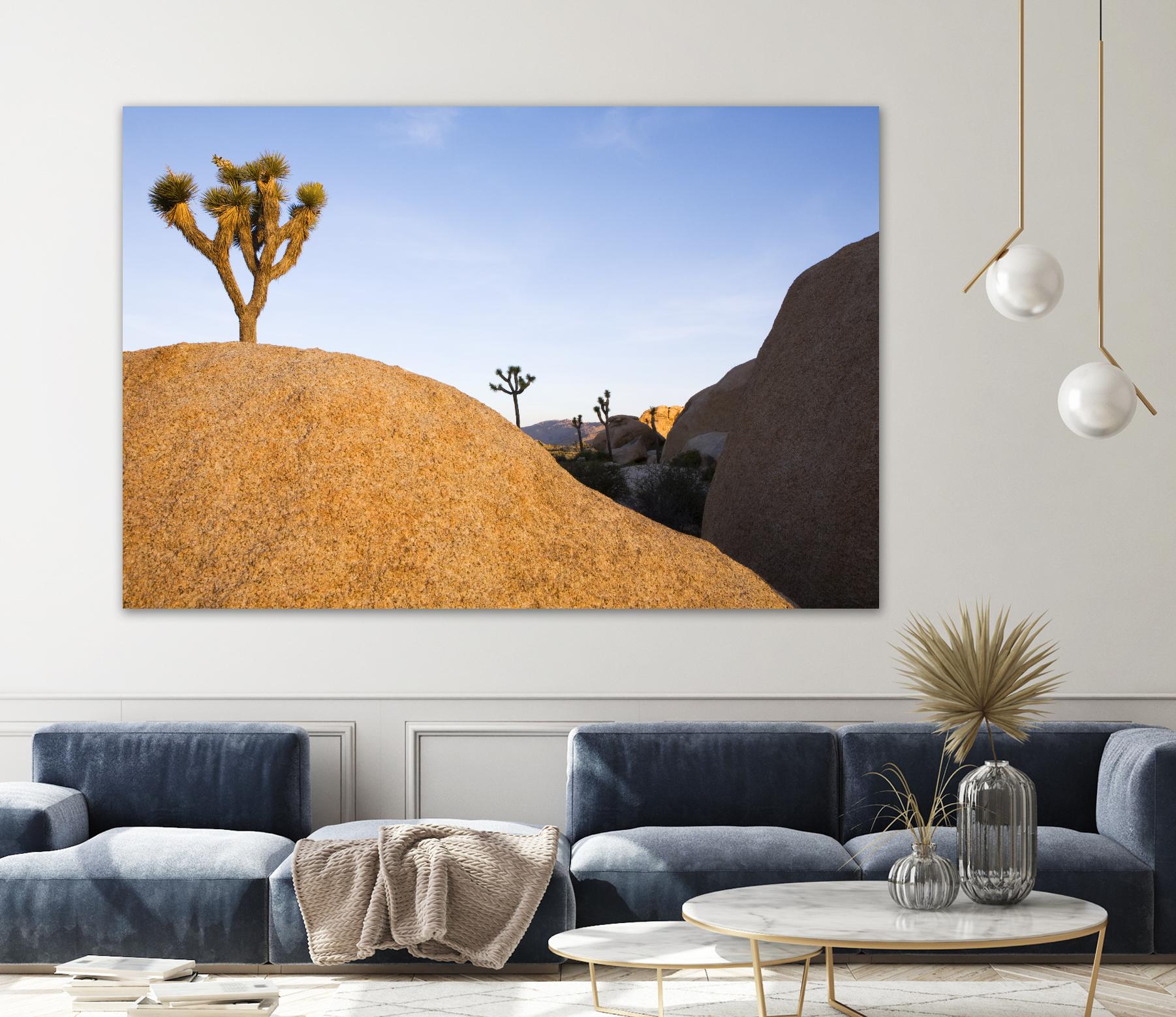 Joshua Tree Dream by Acer Images on GIANT ART - blue landscape