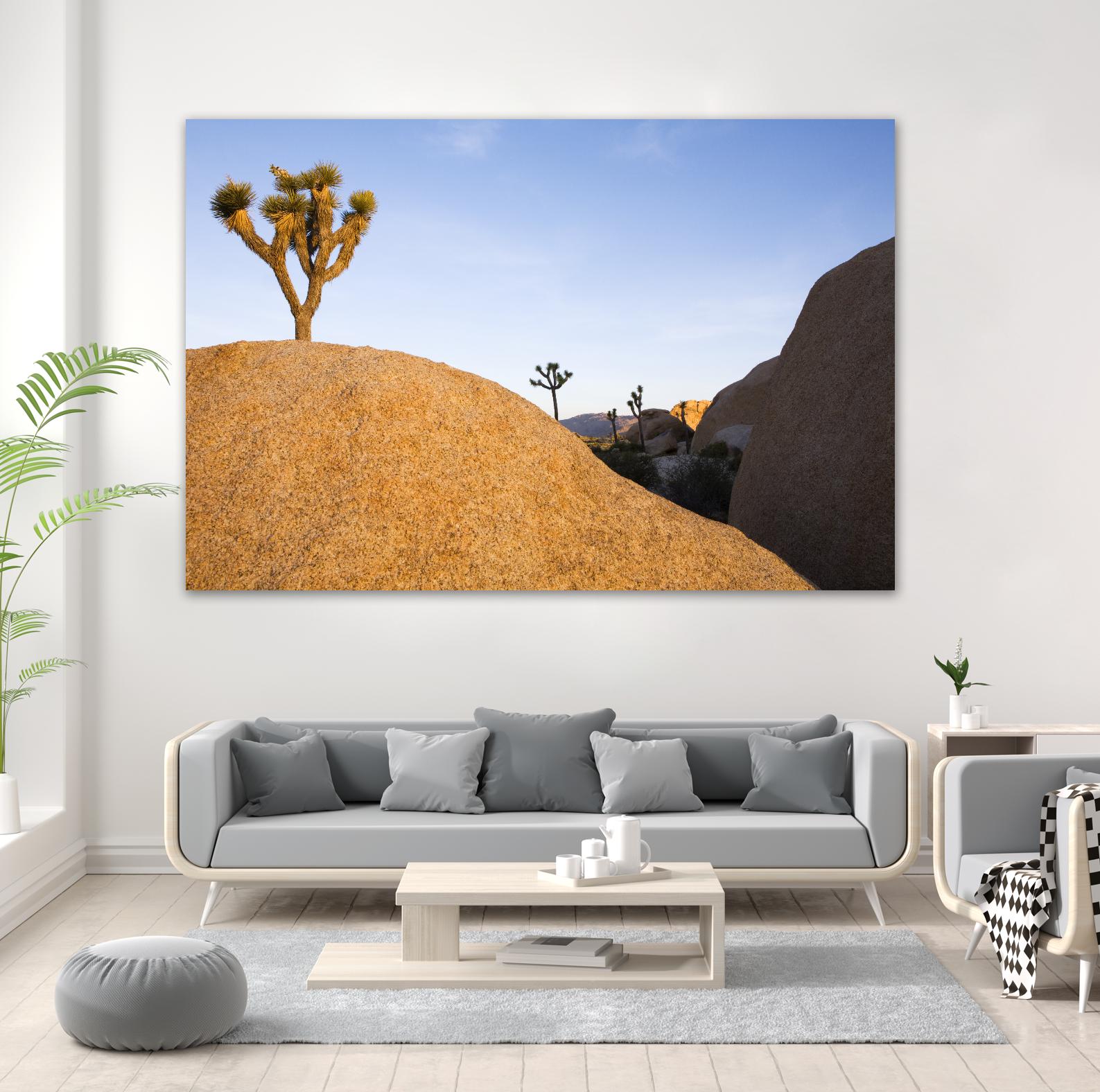 Joshua Tree Dream by Acer Images on GIANT ART - blue landscape