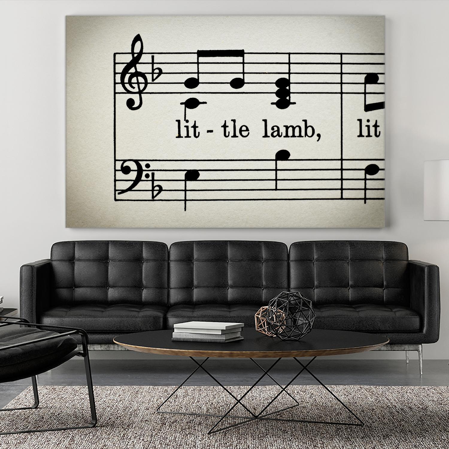 Little Lamb by Amy Smith on GIANT ART - white photo art