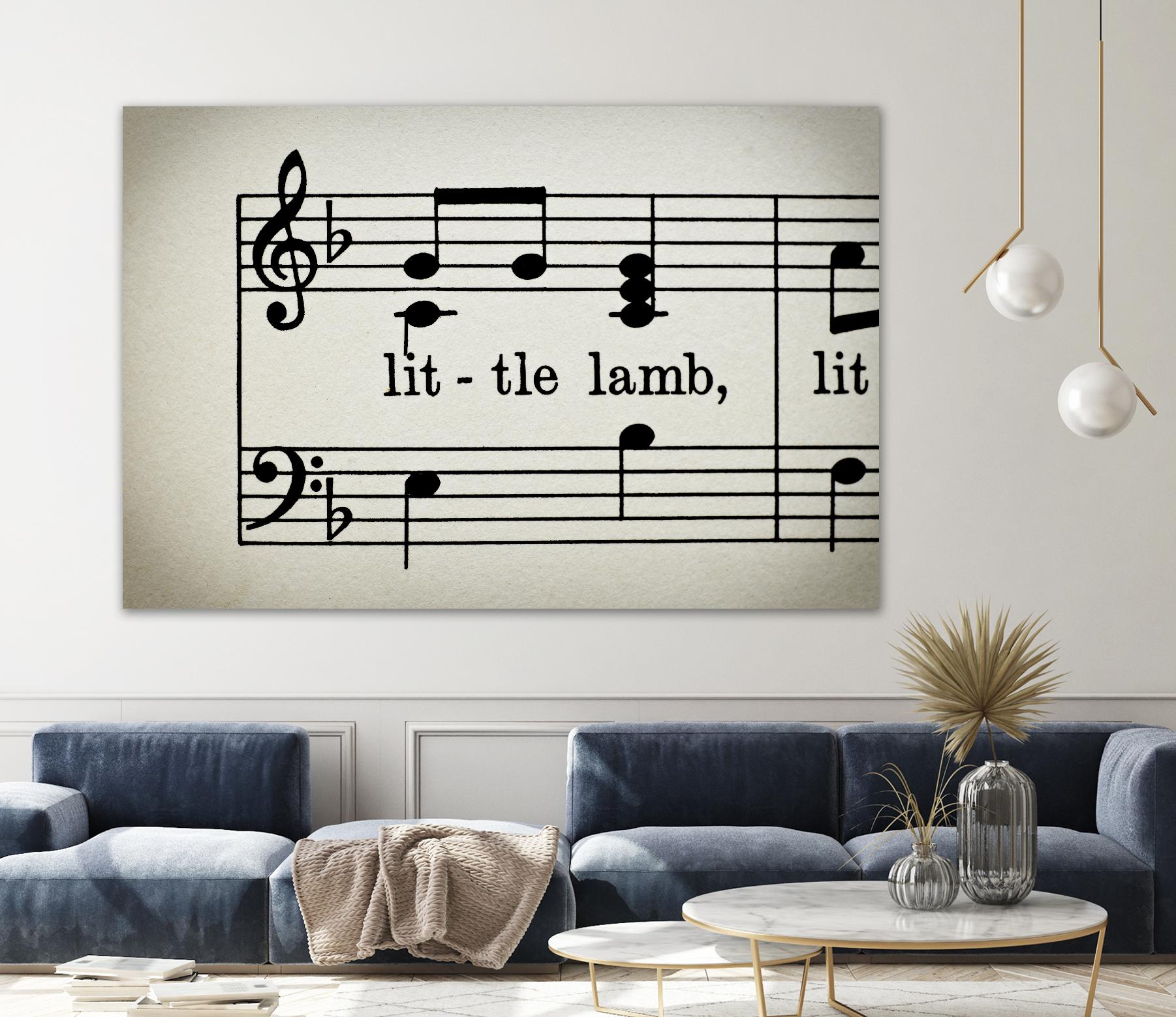 Little Lamb by Amy Smith on GIANT ART - white photo art