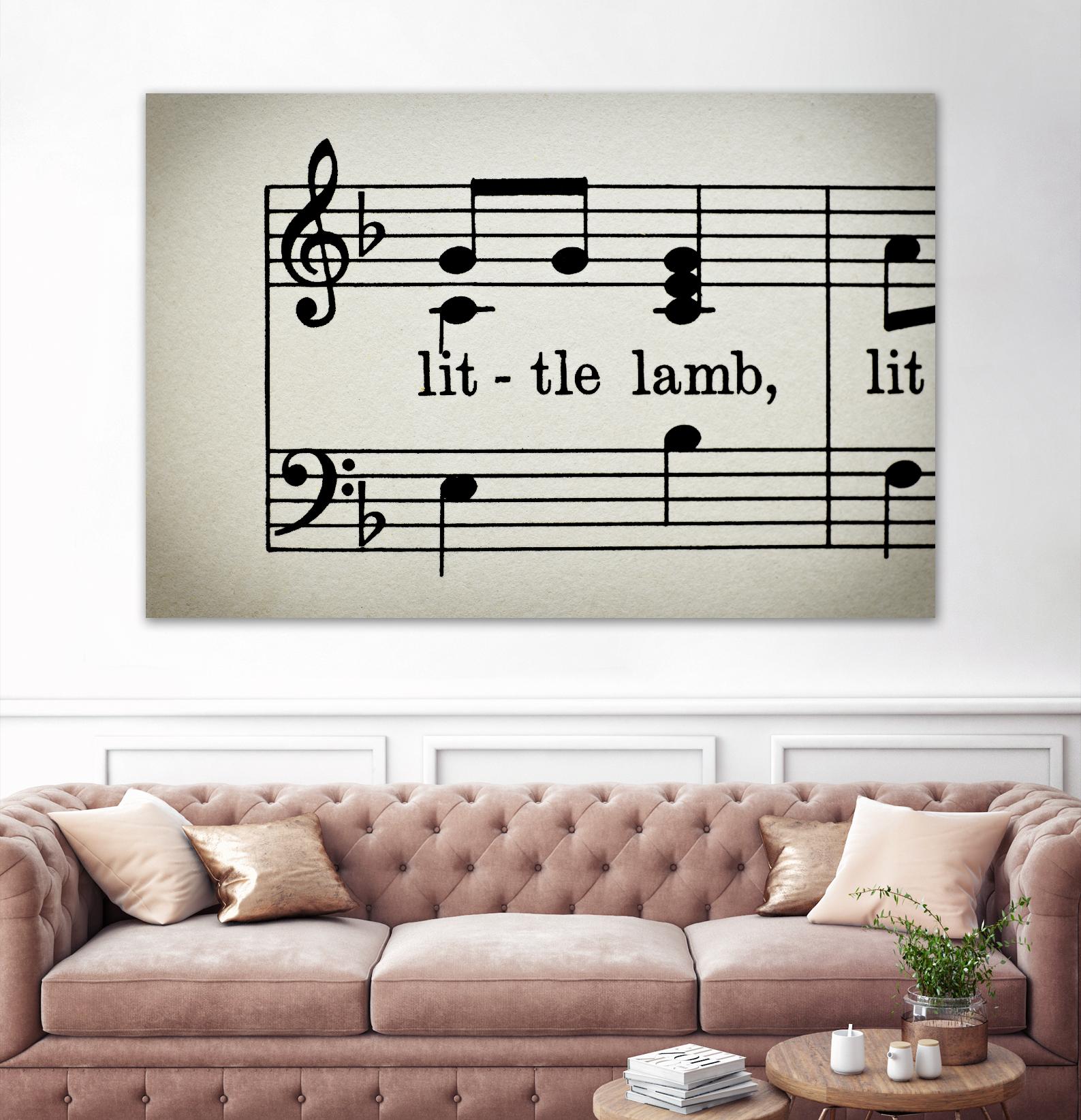 Little Lamb by Amy Smith on GIANT ART - white photo art