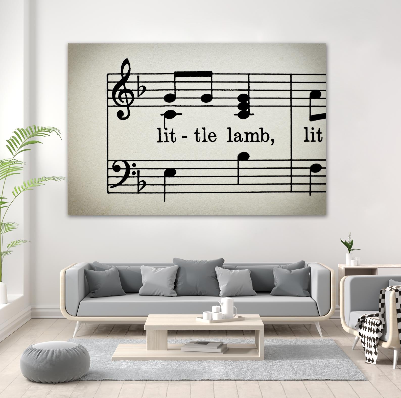 Little Lamb by Amy Smith on GIANT ART - white photo art