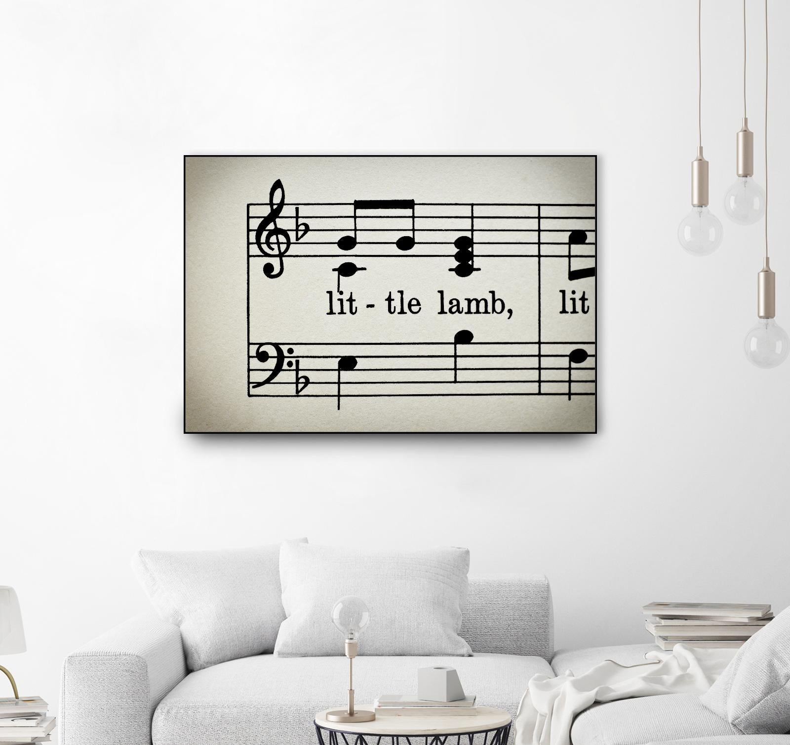 Little Lamb by Amy Smith on GIANT ART - white photo art