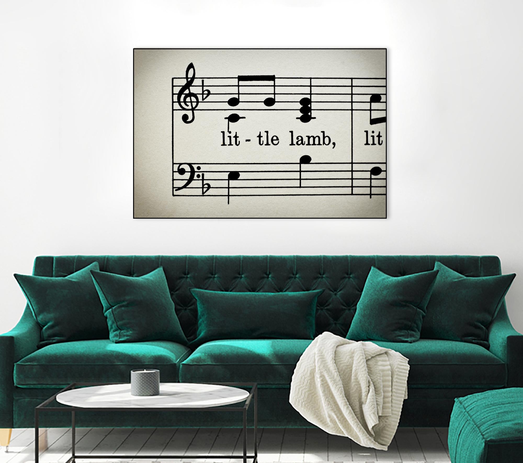 Little Lamb by Amy Smith on GIANT ART - white photo art