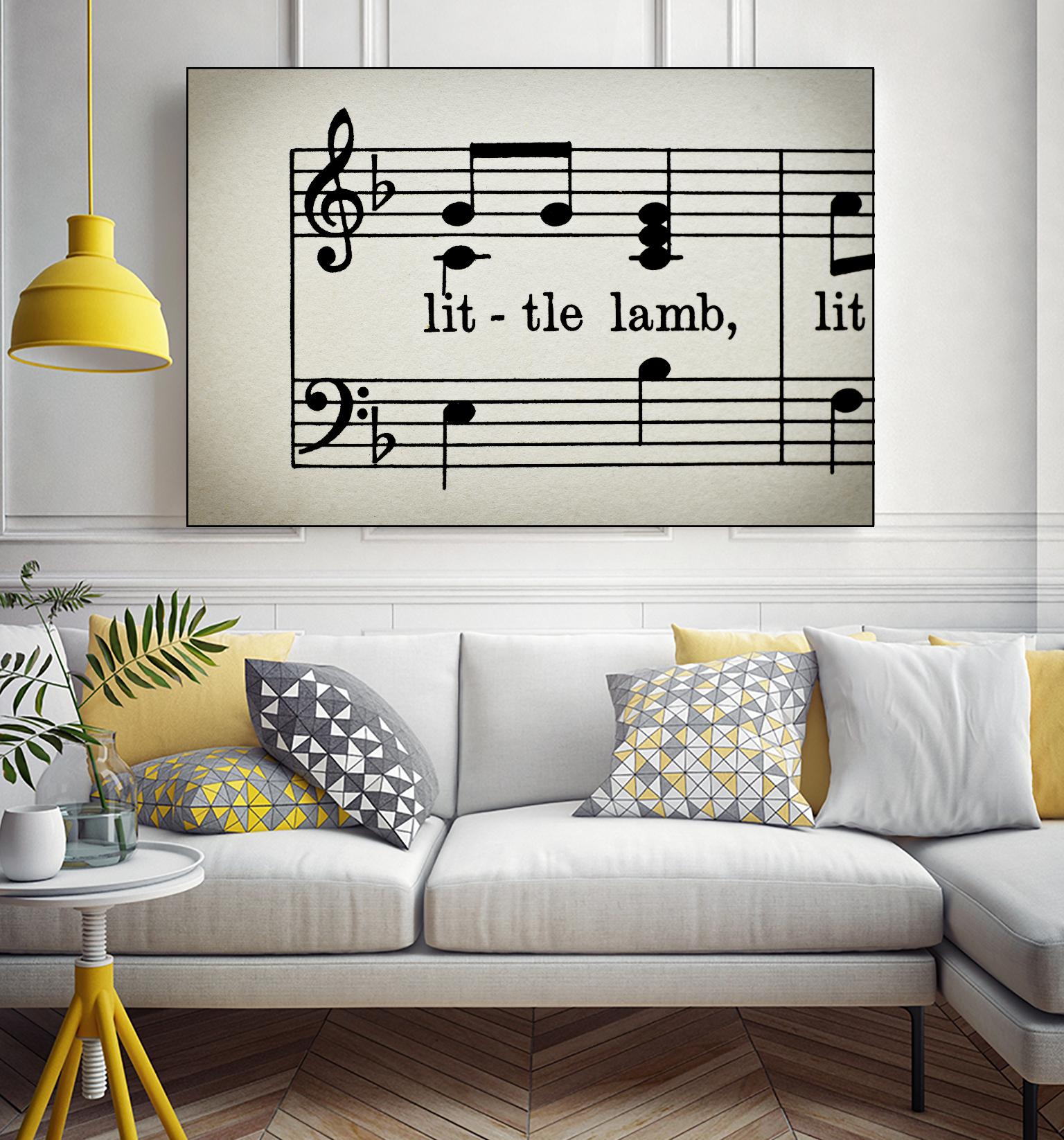 Little Lamb by Amy Smith on GIANT ART - white photo art