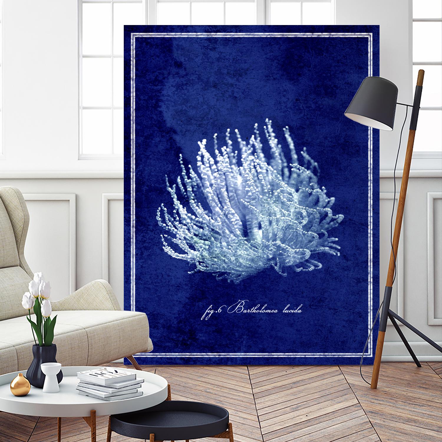 Marine Collection C by GI ArtLab on GIANT ART - blue nautical