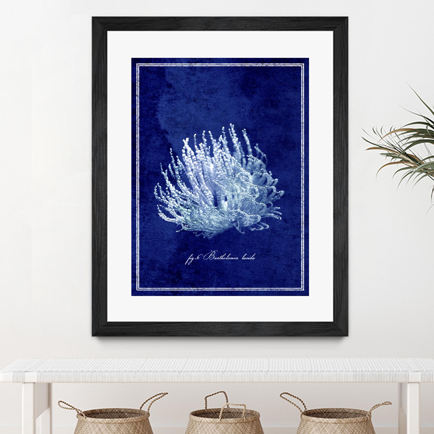 Marine Collection C by GI ArtLab on GIANT ART - blue nautical