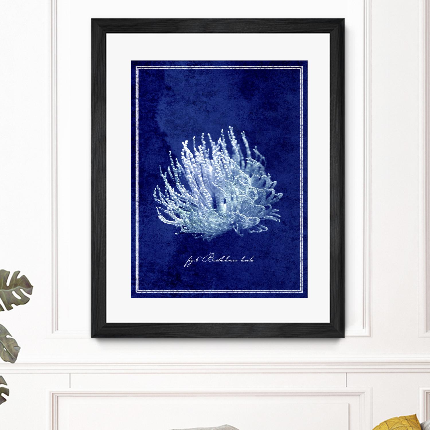Marine Collection C by GI ArtLab on GIANT ART - blue nautical