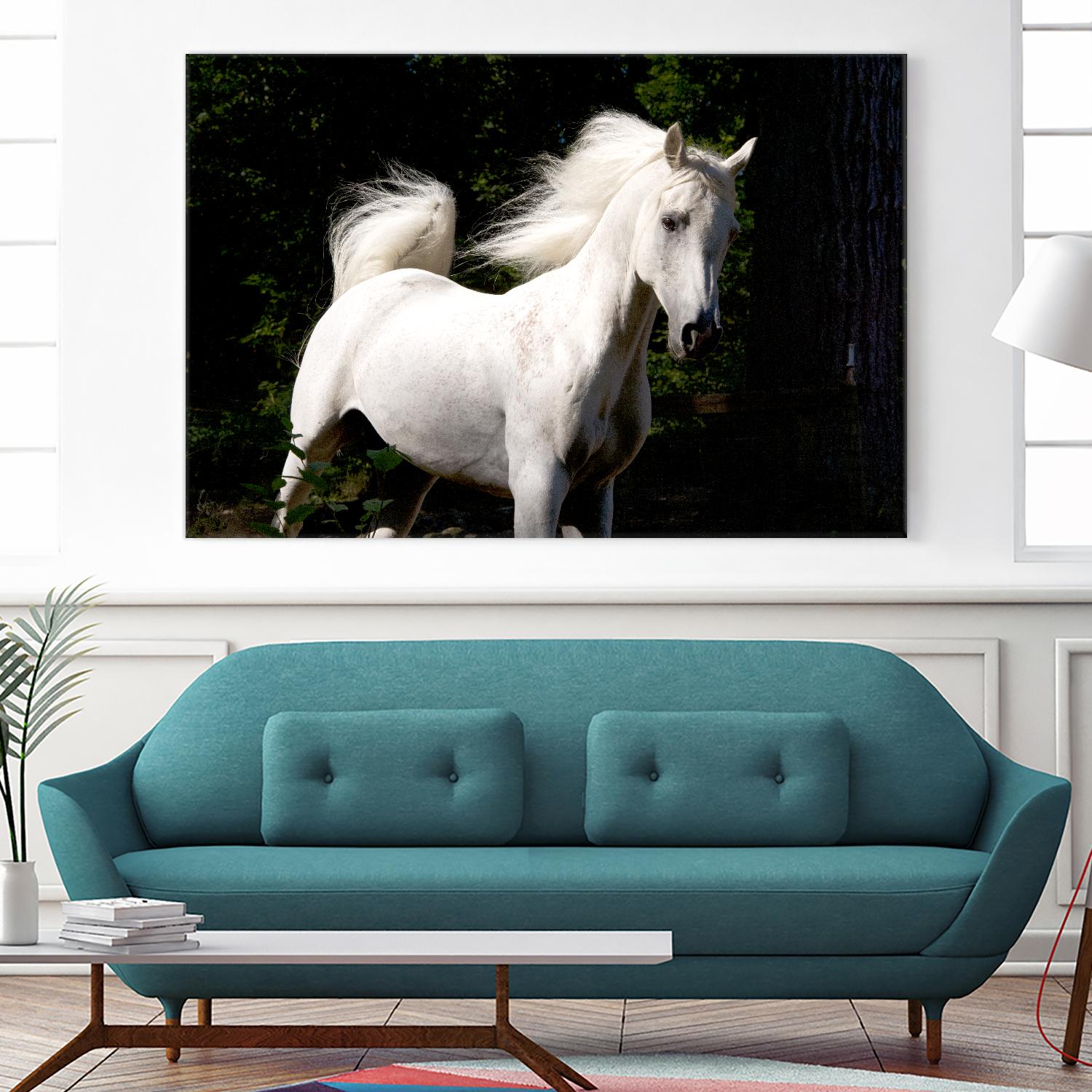 Candle 4 by Patrick Marshall on GIANT ART - black animals