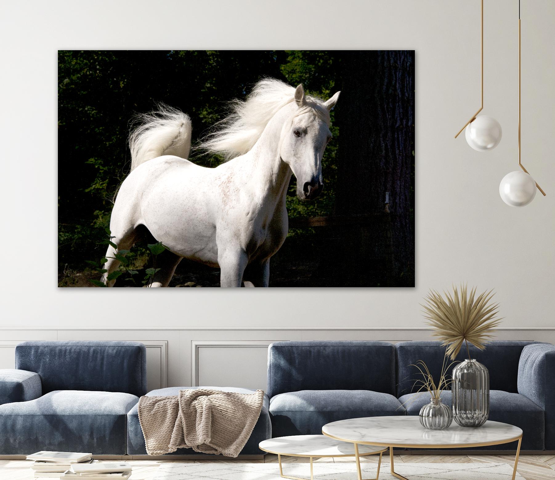 Candle 4 by Patrick Marshall on GIANT ART - black animals