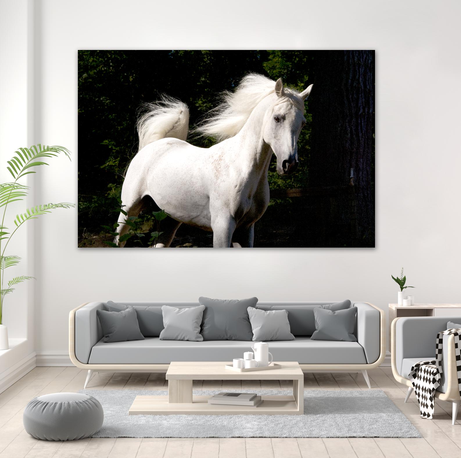 Candle 4 by Patrick Marshall on GIANT ART - black animals