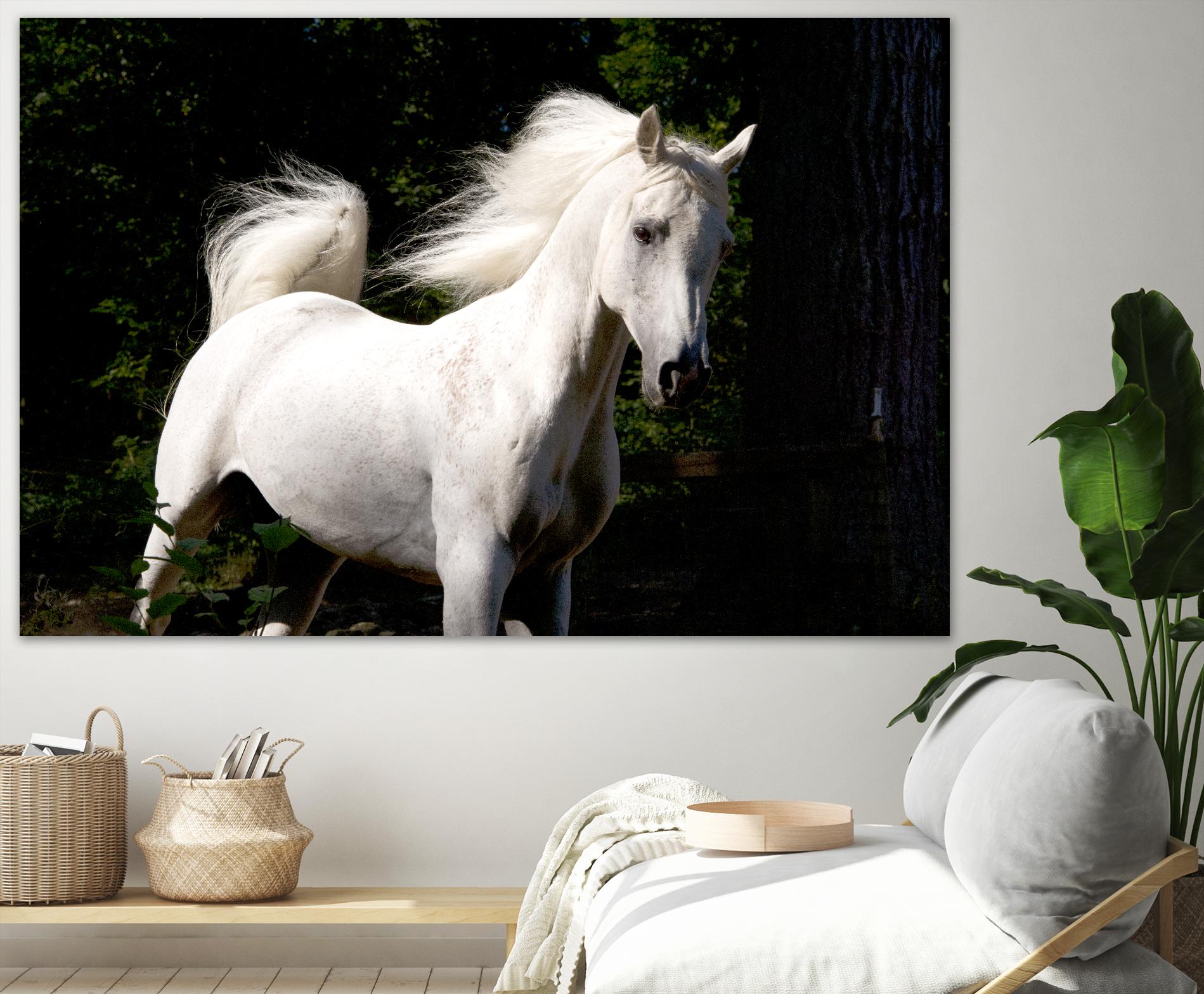 Candle 4 by Patrick Marshall on GIANT ART - black animals