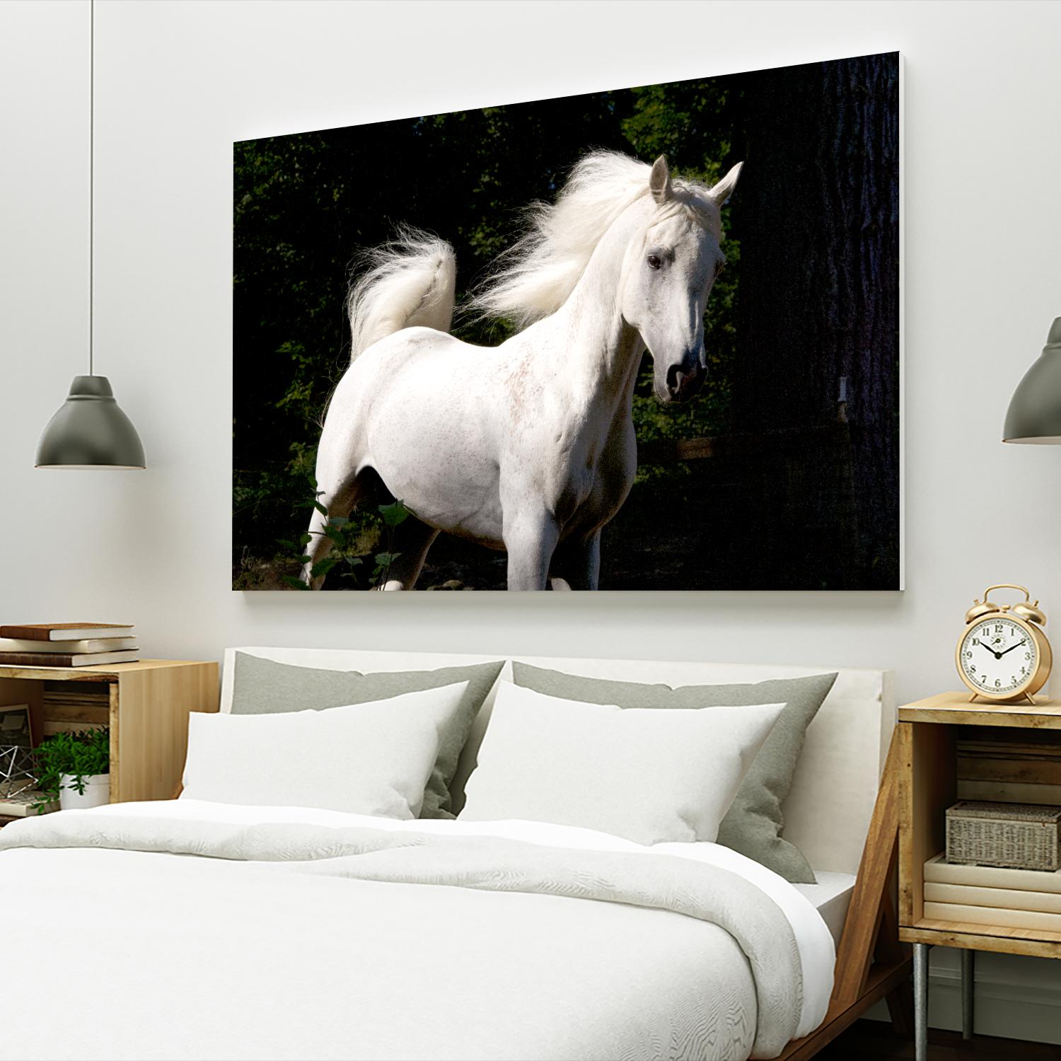 Candle 4 by Patrick Marshall on GIANT ART - black animals