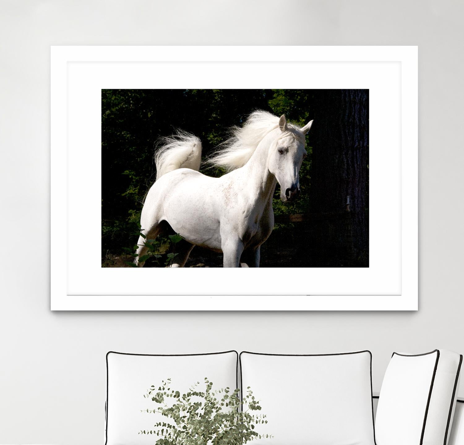 Candle 4 by Patrick Marshall on GIANT ART - black animals