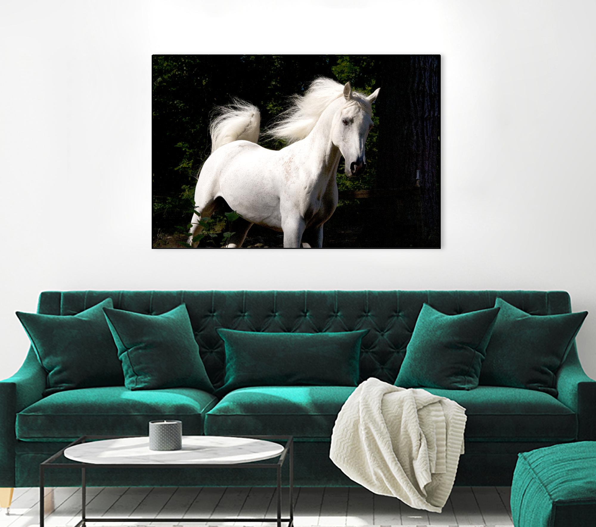 Candle 4 by Patrick Marshall on GIANT ART - black animals