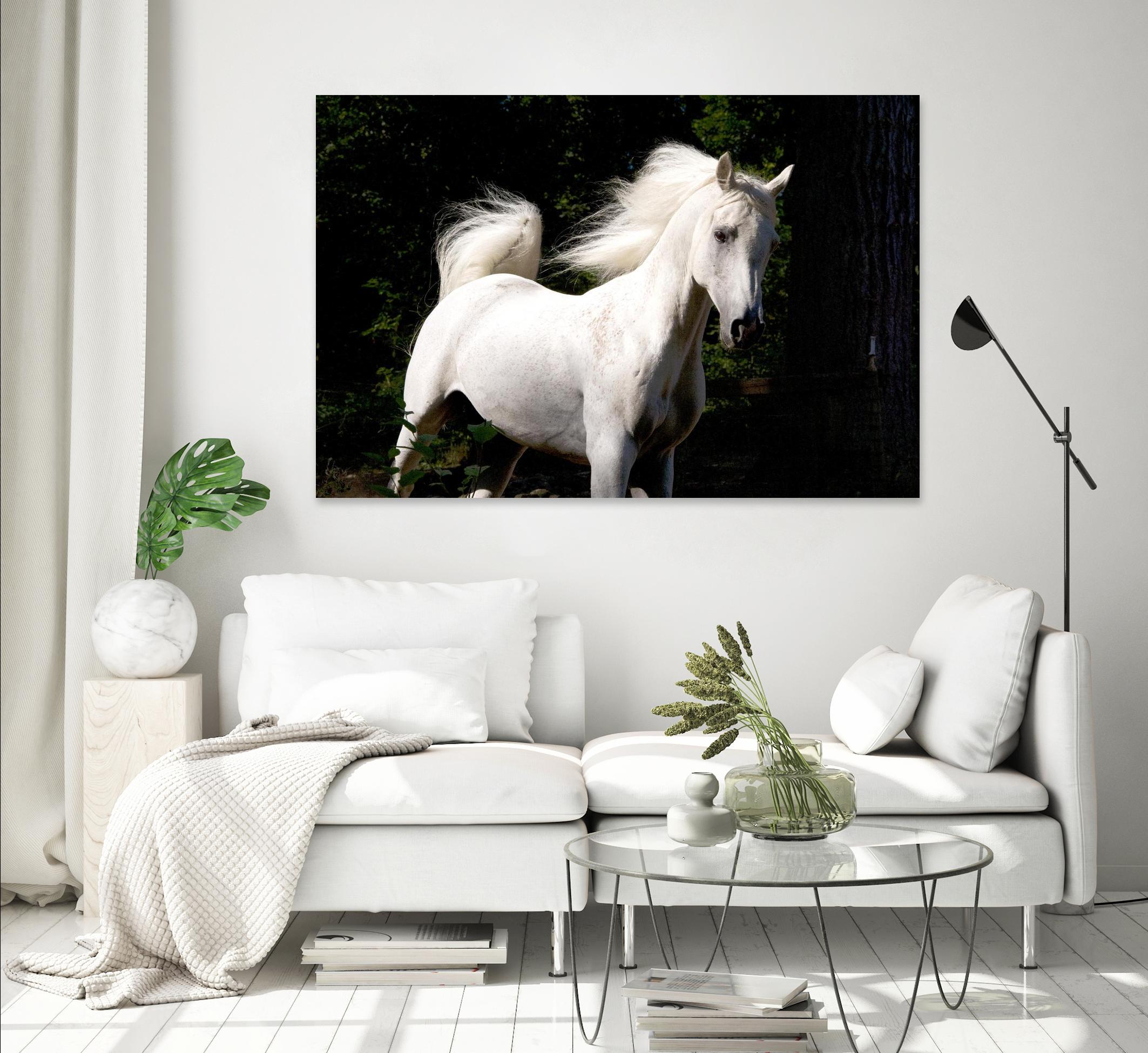 Candle 4 by Patrick Marshall on GIANT ART - black animals