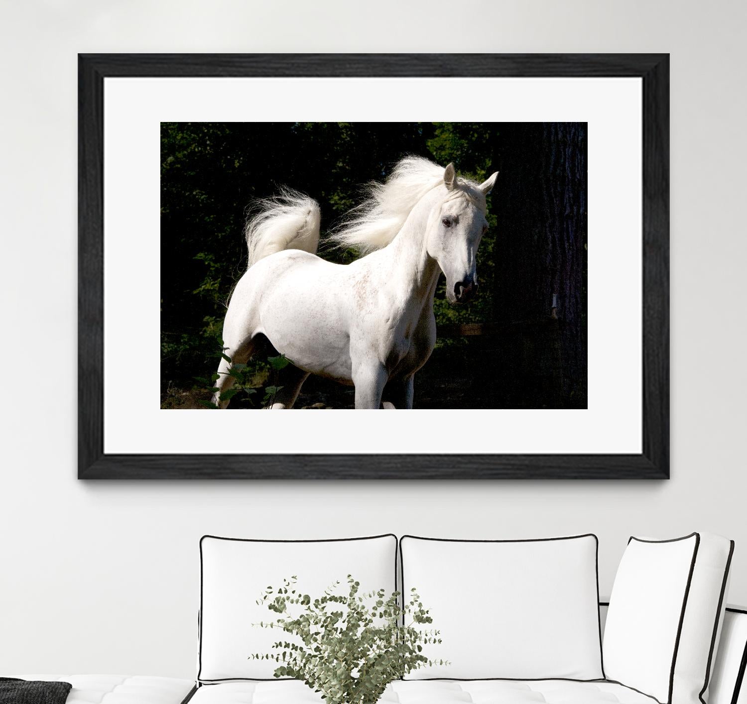 Candle 4 by Patrick Marshall on GIANT ART - black animals