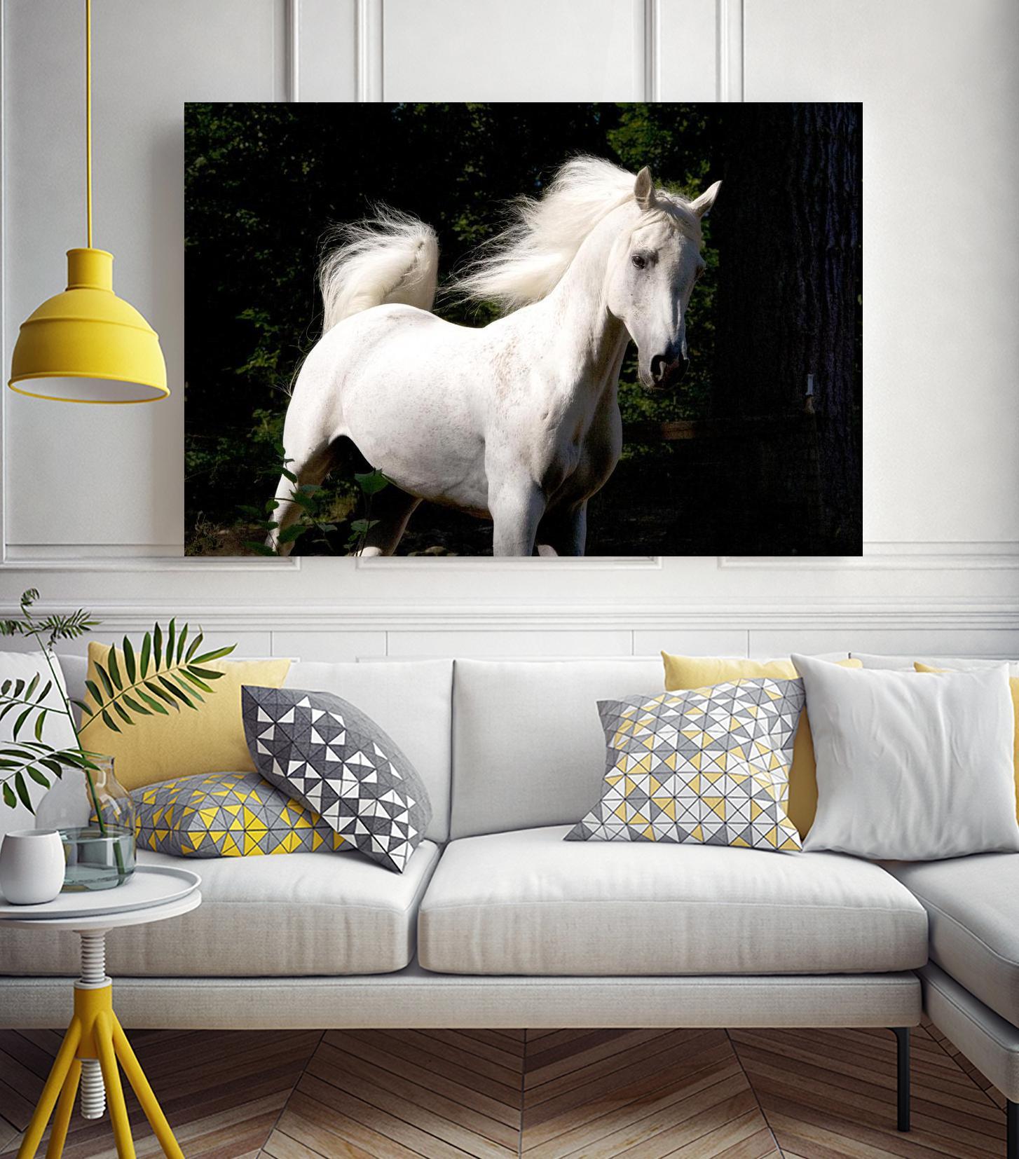 Candle 4 by Patrick Marshall on GIANT ART - black animals