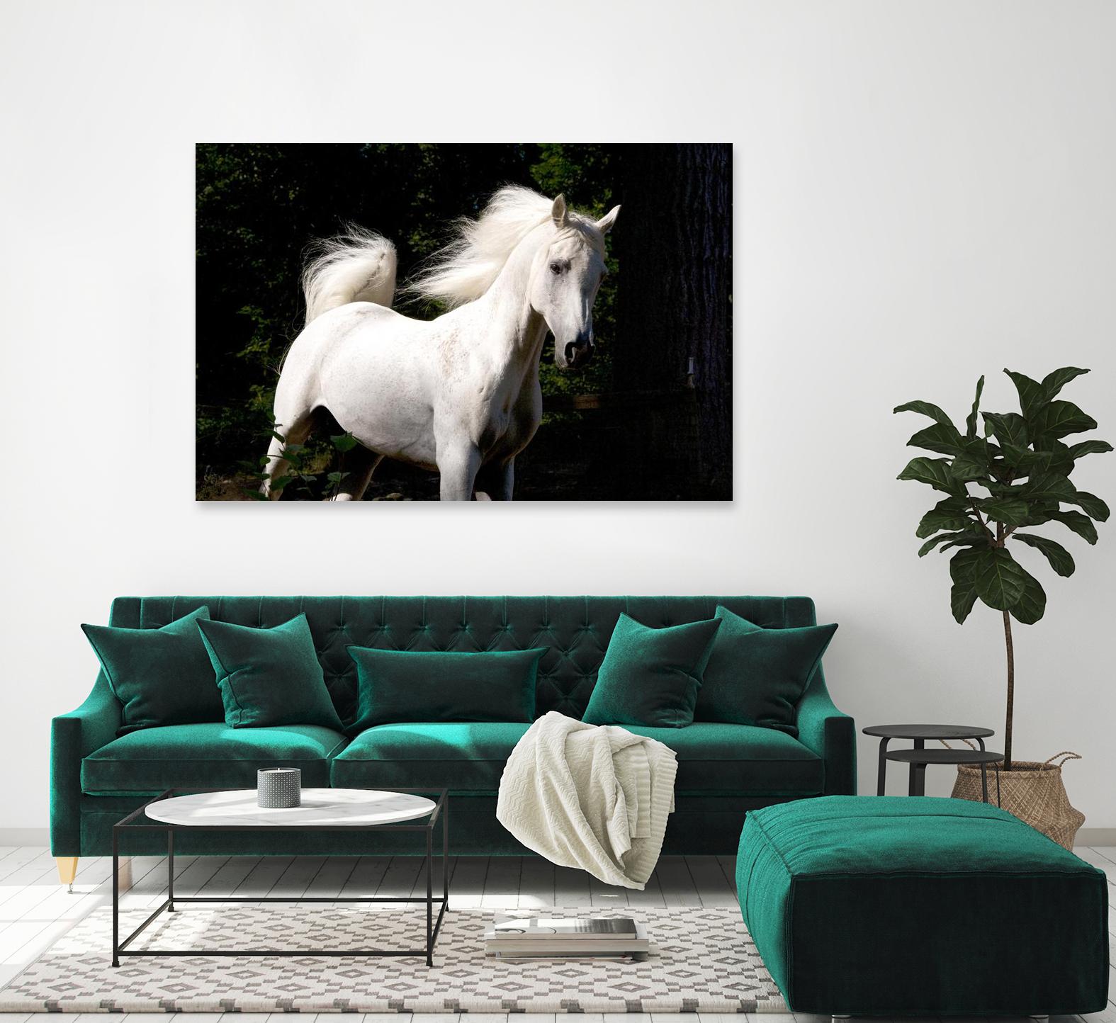 Candle 4 by Patrick Marshall on GIANT ART - black animals