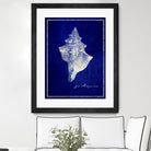 Conch Shell by GI ArtLab on GIANT ART - blue nautical