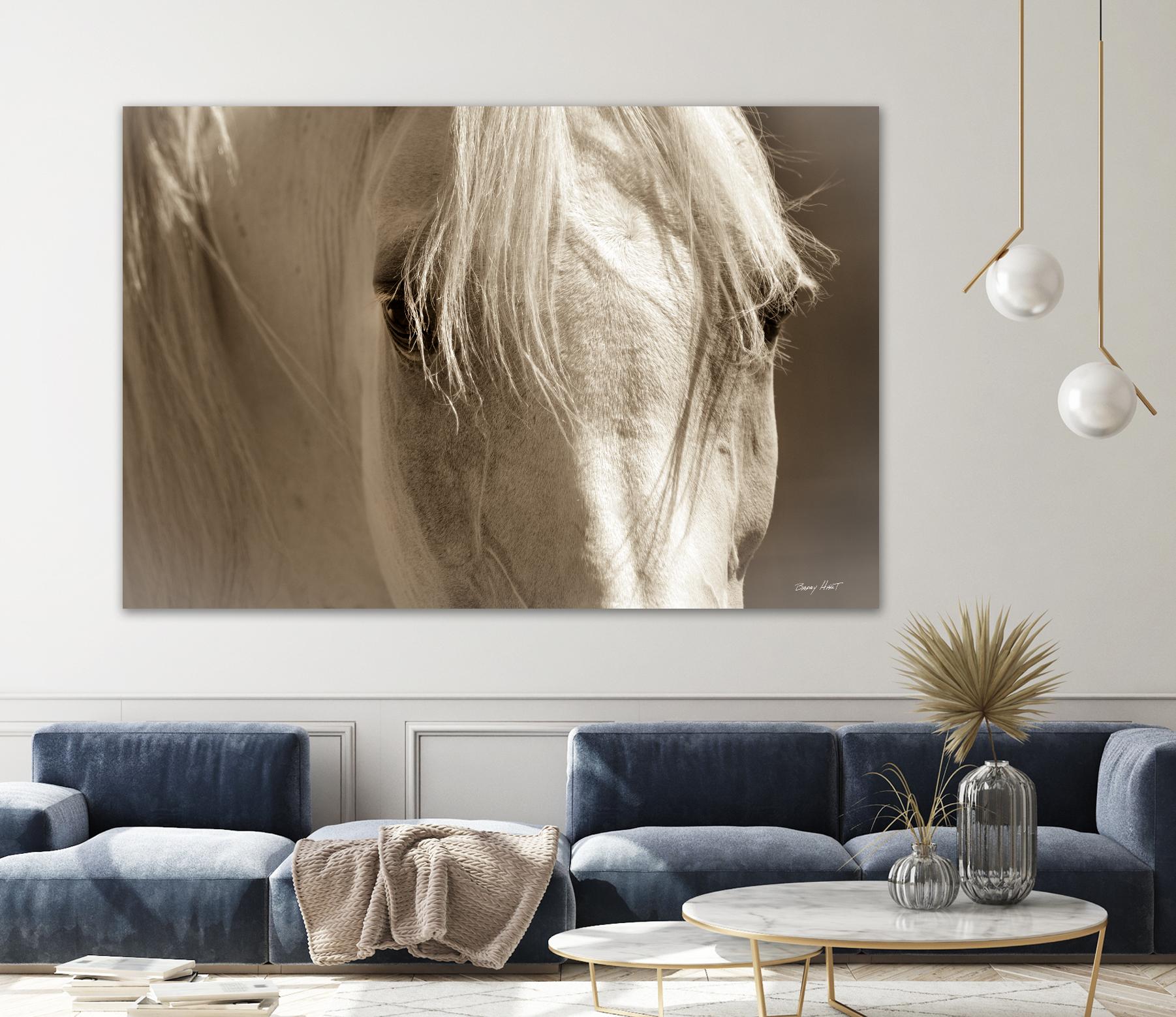 Angel Eyes by Barry Hart on GIANT ART - beige animals