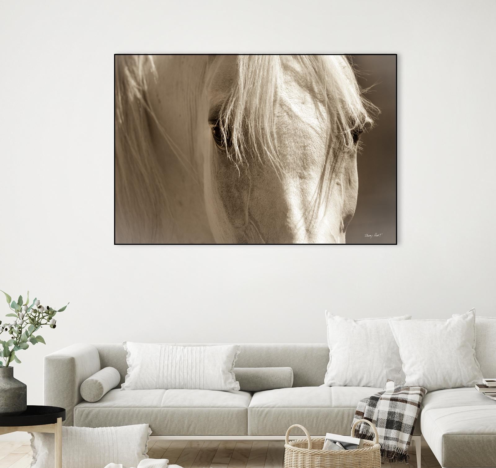 Angel Eyes by Barry Hart on GIANT ART - beige animals