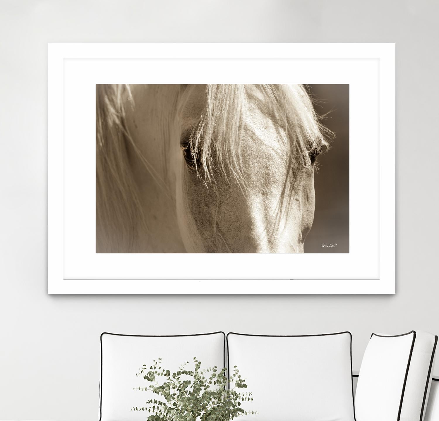 Angel Eyes by Barry Hart on GIANT ART - beige animals