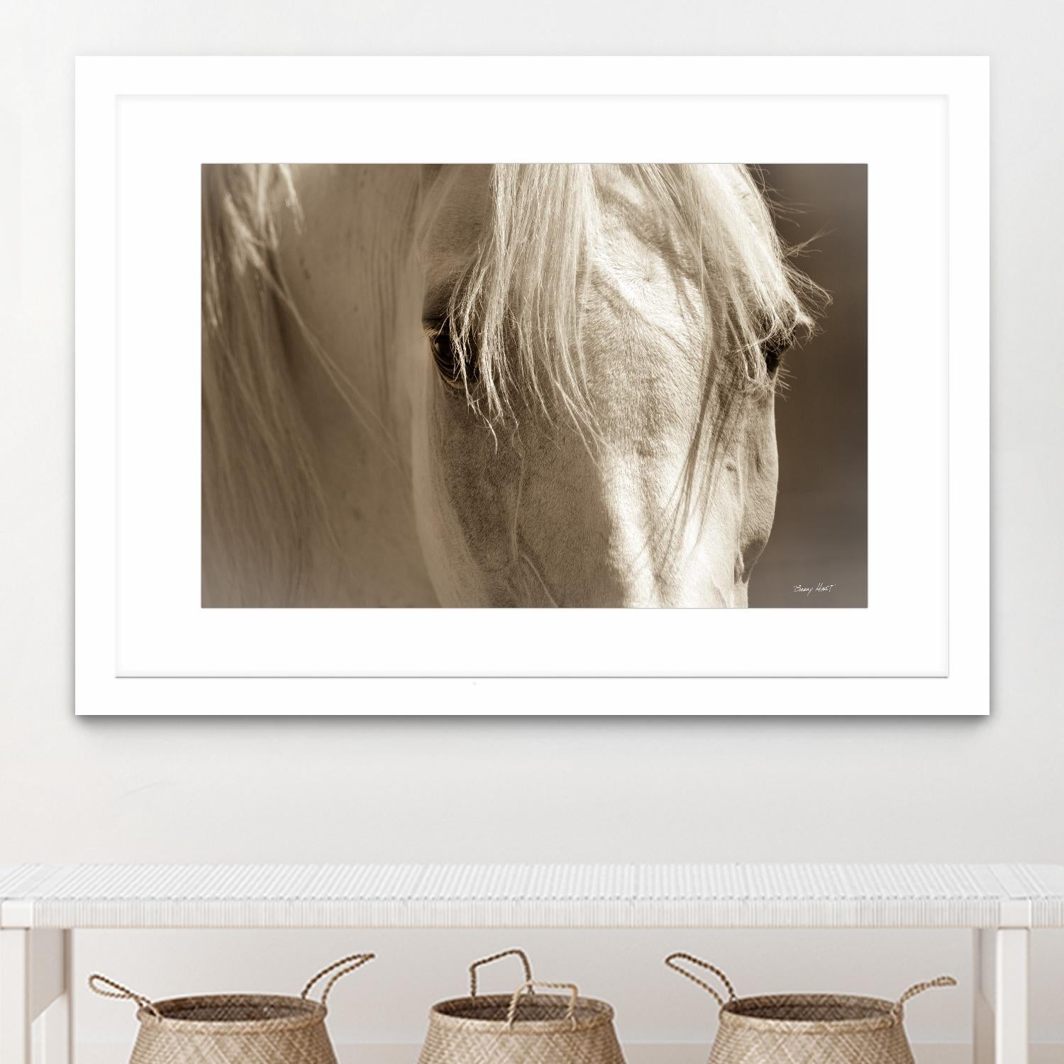 Angel Eyes by Barry Hart on GIANT ART - beige animals