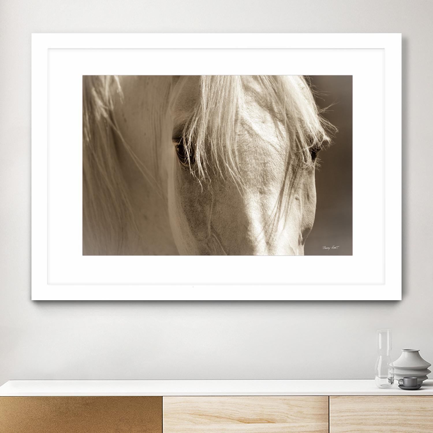 Angel Eyes by Barry Hart on GIANT ART - beige animals