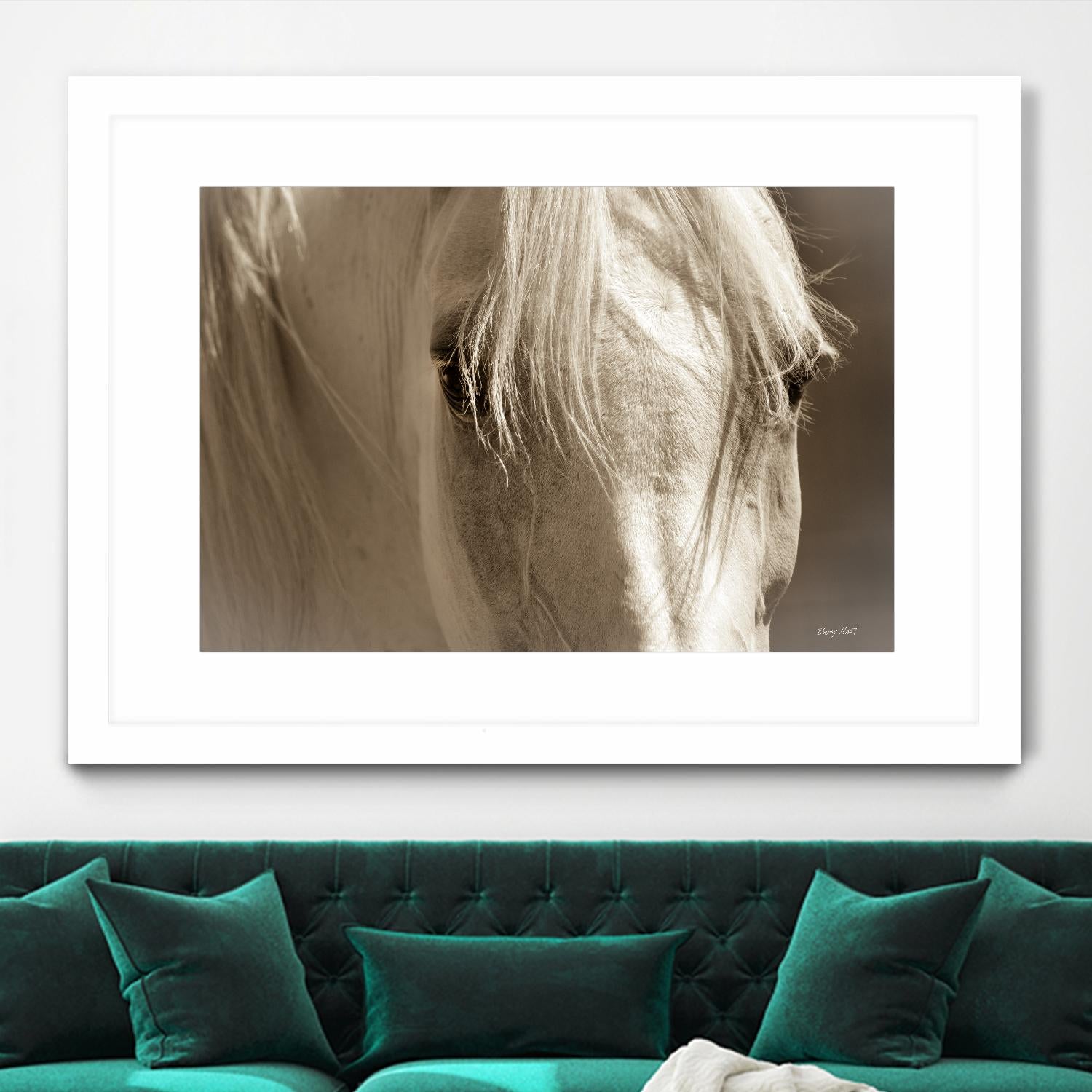 Angel Eyes by Barry Hart on GIANT ART - beige animals